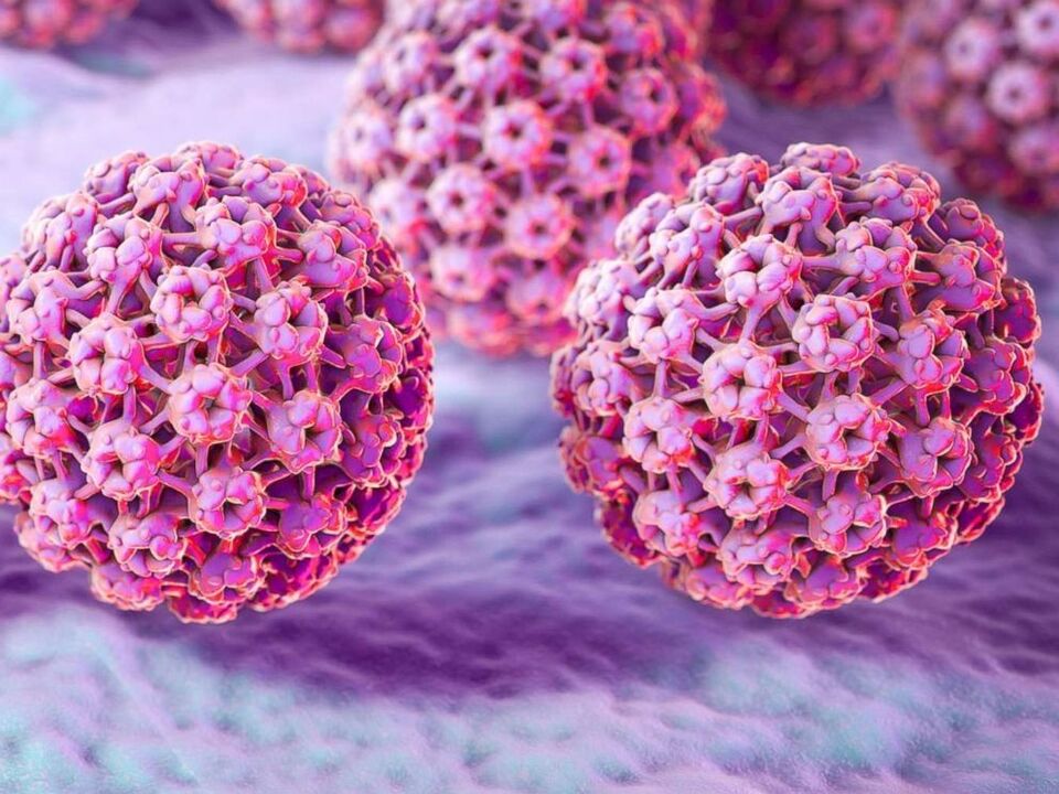 Classification of papillomavirus